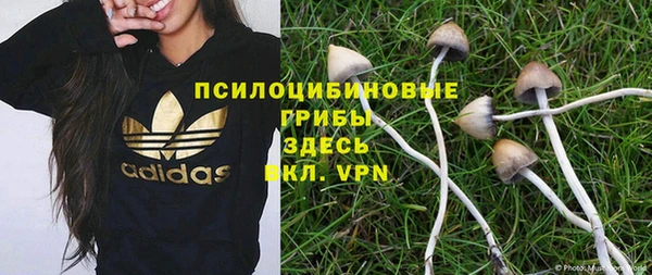COCAINE Белокуриха